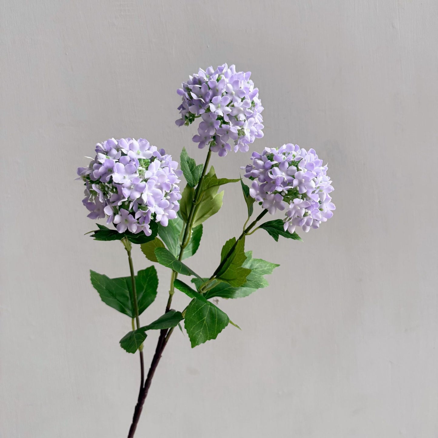 Flowers Hydrangeas SnowballsSmall  Home Furnishings