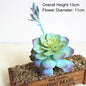 Artificial Succulents Creative Indoor Plastic Flowers