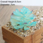 Artificial Succulents Creative Indoor Plastic Flowers