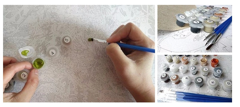 Beautiful Flowers-DIY Digital Painting Kit-Decoration