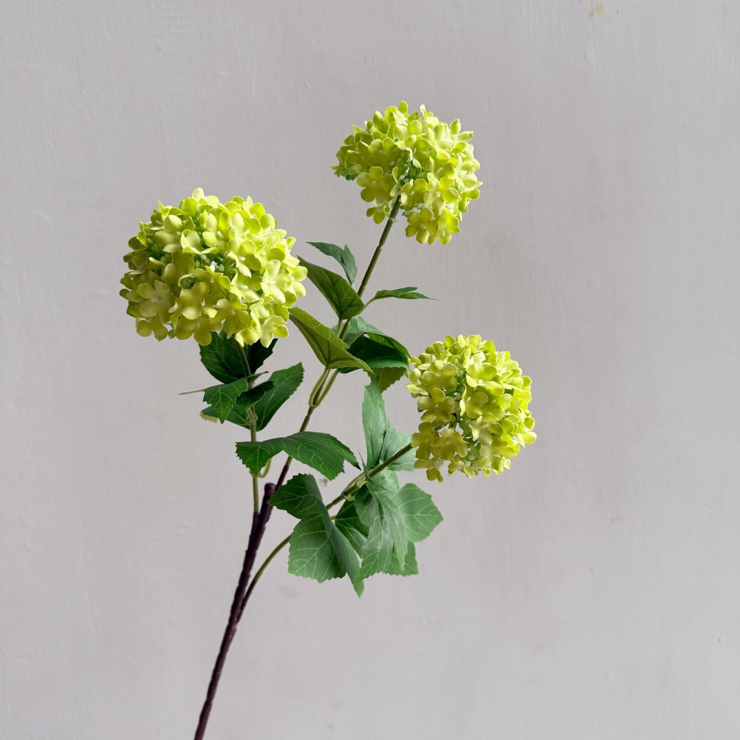 Flowers Hydrangeas SnowballsSmall  Home Furnishings