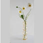 Transparent Glass Gourd Small Vase Flower Arrangement Ddried Flowers Hydroponics