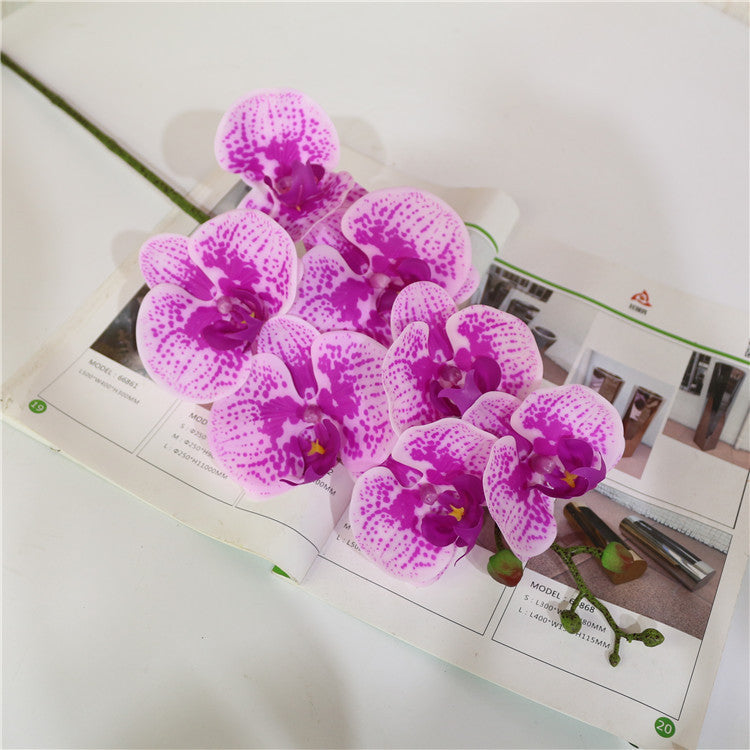 7 künstliche Phalaenopsis-Blüten