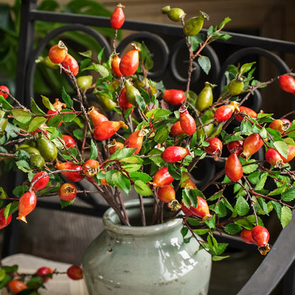 Simulation Pomegranate Fruit Living Room TV Cabinet Fake Flowers