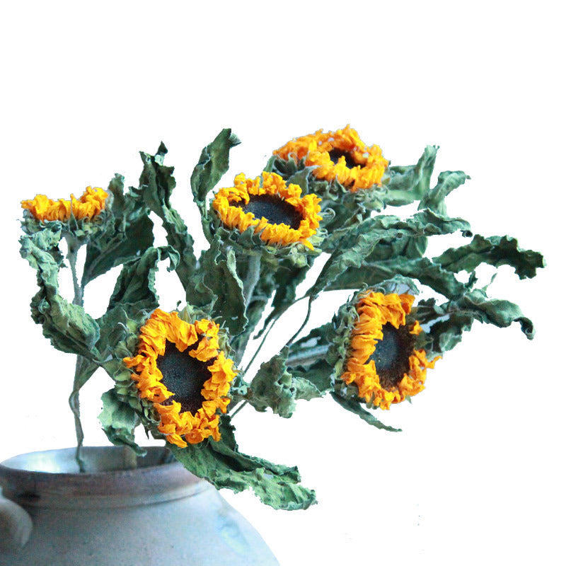 Natural Dried Flowers Real Flowers Teacher's Day Sunflower Home Decoration