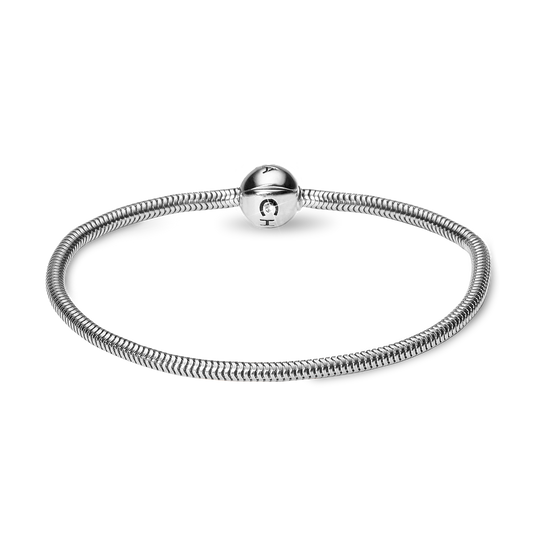 Charms Bracelet in Sterling Silver