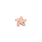 Star Fish Elementer for collect Watche - CHRISTINA