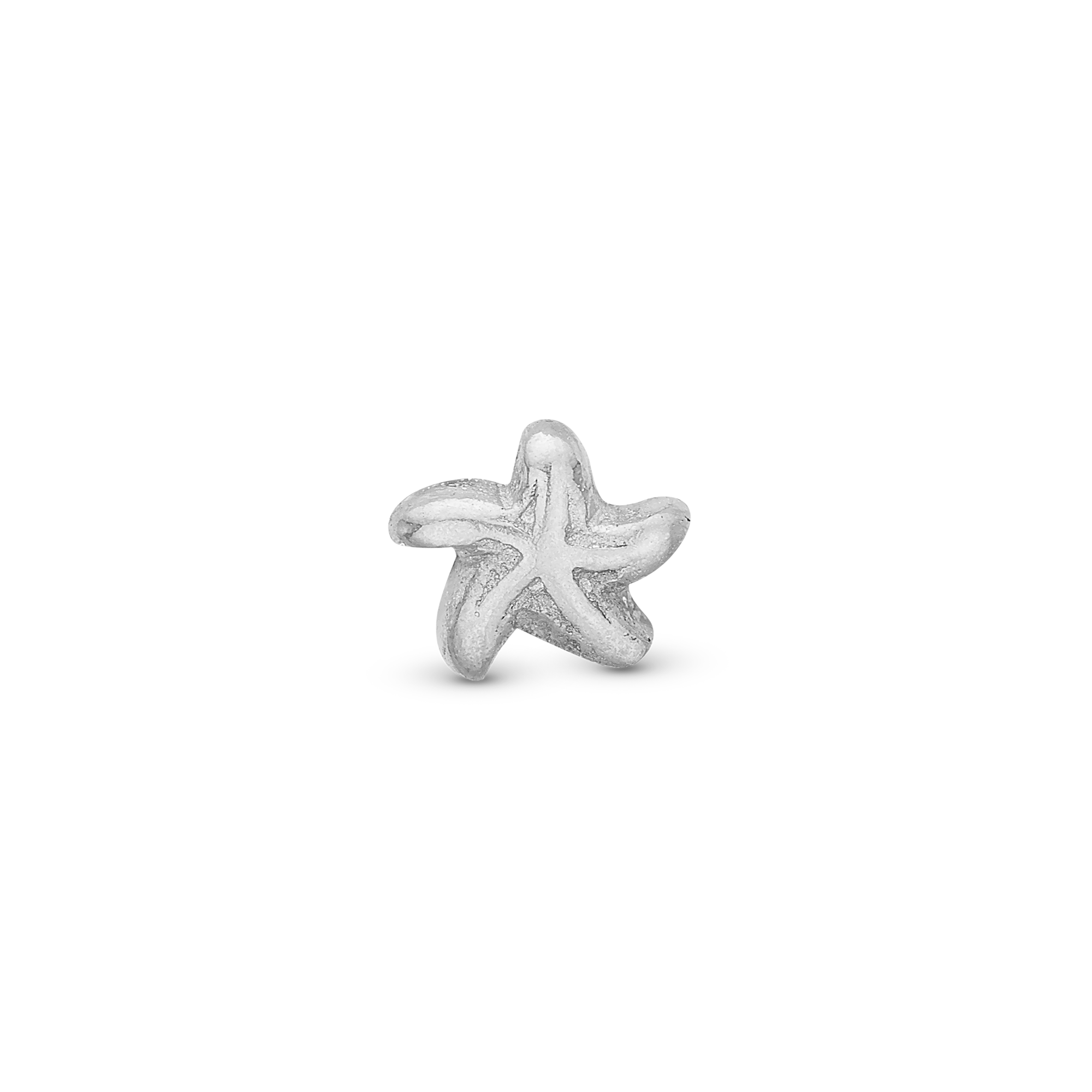 Star Fish Elementer for collect Watche - CHRISTINA
