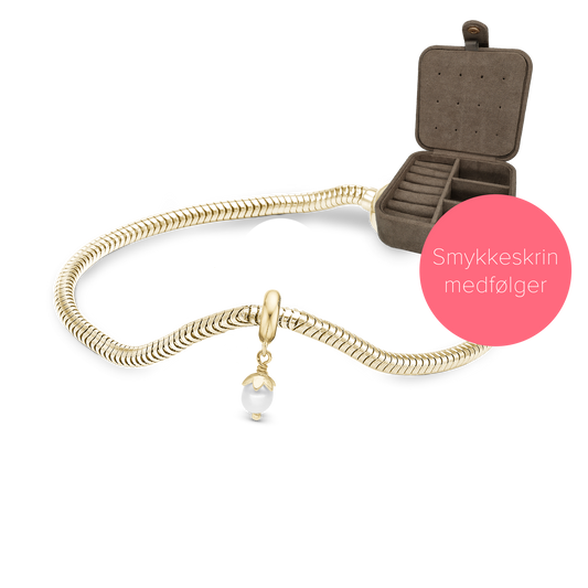 Embrace Gold Plated Charms Bracelet - with 4 mm Charm i Gold Plated Sterling Silver og Smykkeskrin