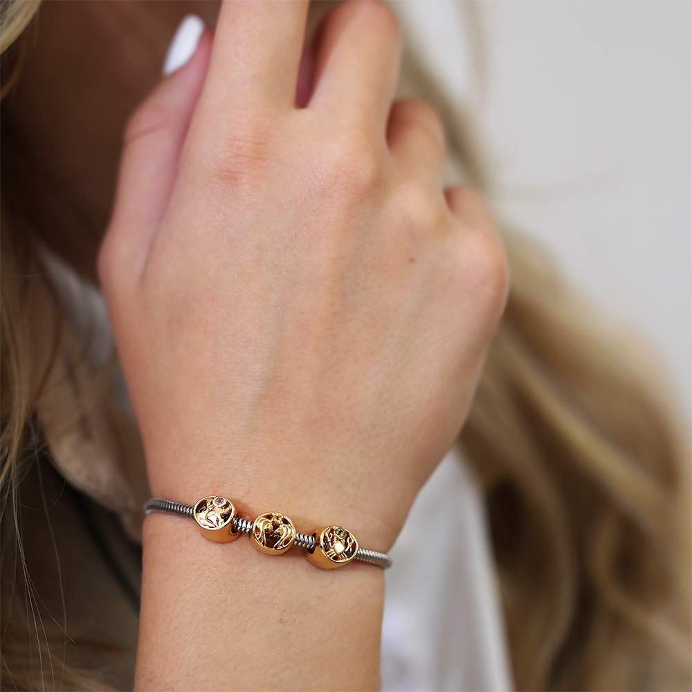 Tyr Charms with sølvBracelet - CHRISTINA