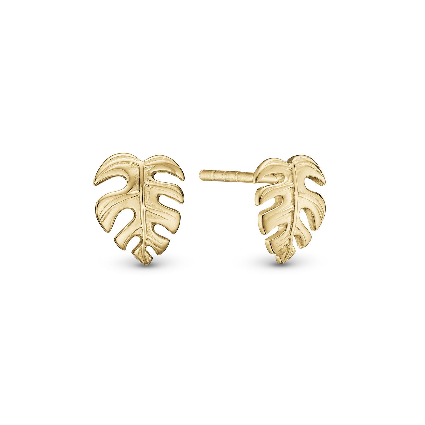 Rainforest Stud Earrings - Polished Gold Plated Sterling Silver