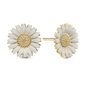 Marguerite 12mm Stud Earrings - Gold Plated Sterling Silver