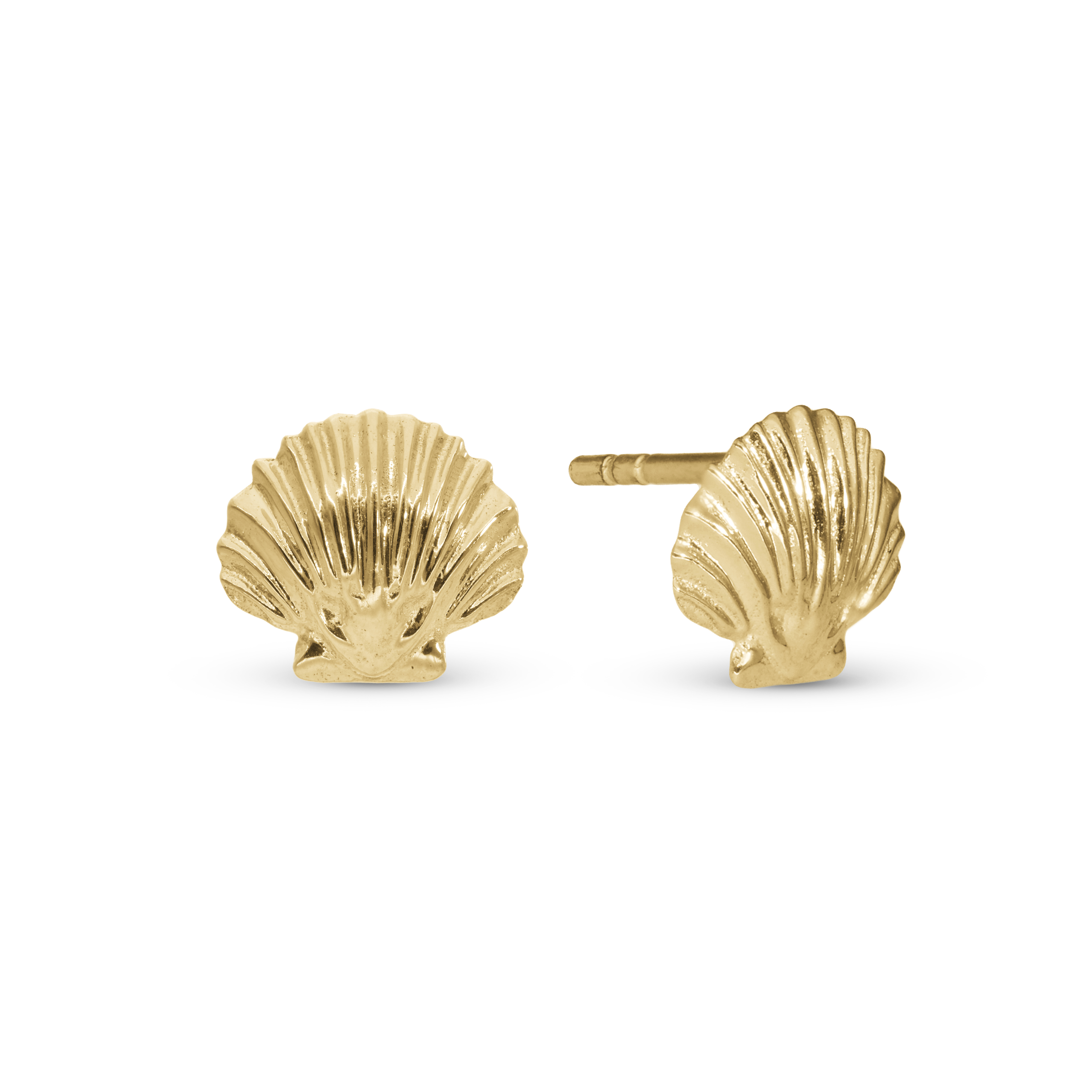 Clam Shell Stud Earrings - Polished Gold Plated Sterling Silver