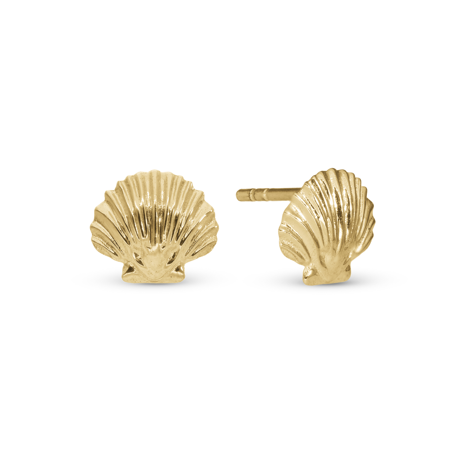 Clam Shell Stud Earrings - Polished Gold Plated Sterling Silver