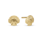 Clam Shell Stud Earrings - Polished Gold Plated Sterling Silver