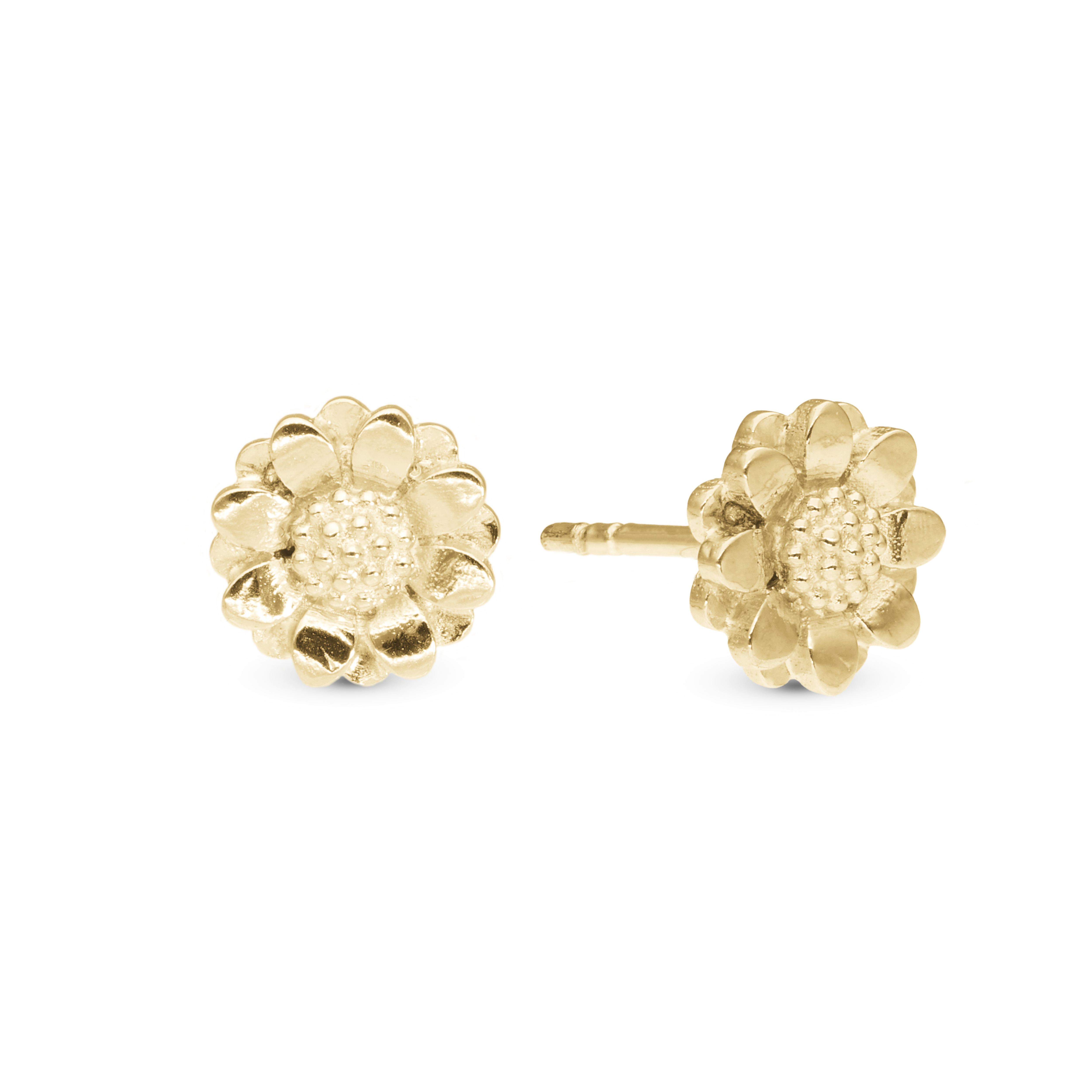 Windflower Stud Earrings - Polished Gold Plated Sterling Silver