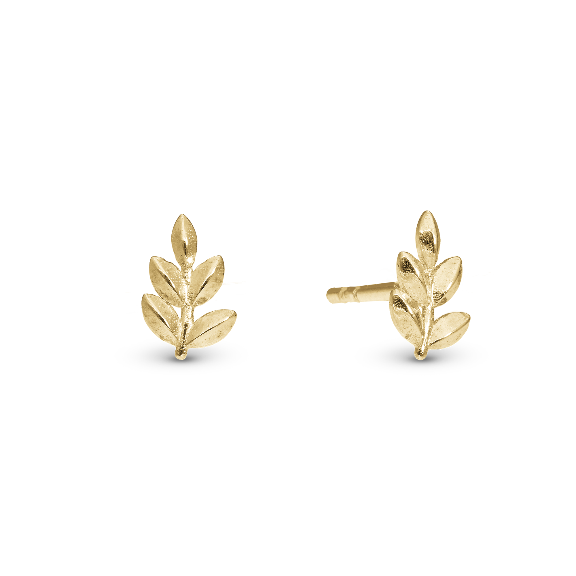 Oak Leaf Stud Earrings - Polished Gold Plated Sterling Silver