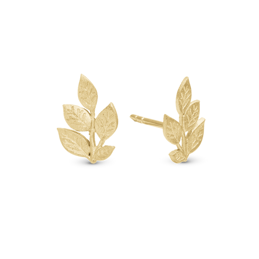 Leaf Beauty Stud Earrings - Polished Gold Plated Sterling Silver