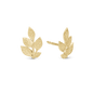 Leaf Beauty Stud Earrings - Polished Gold Plated Sterling Silver