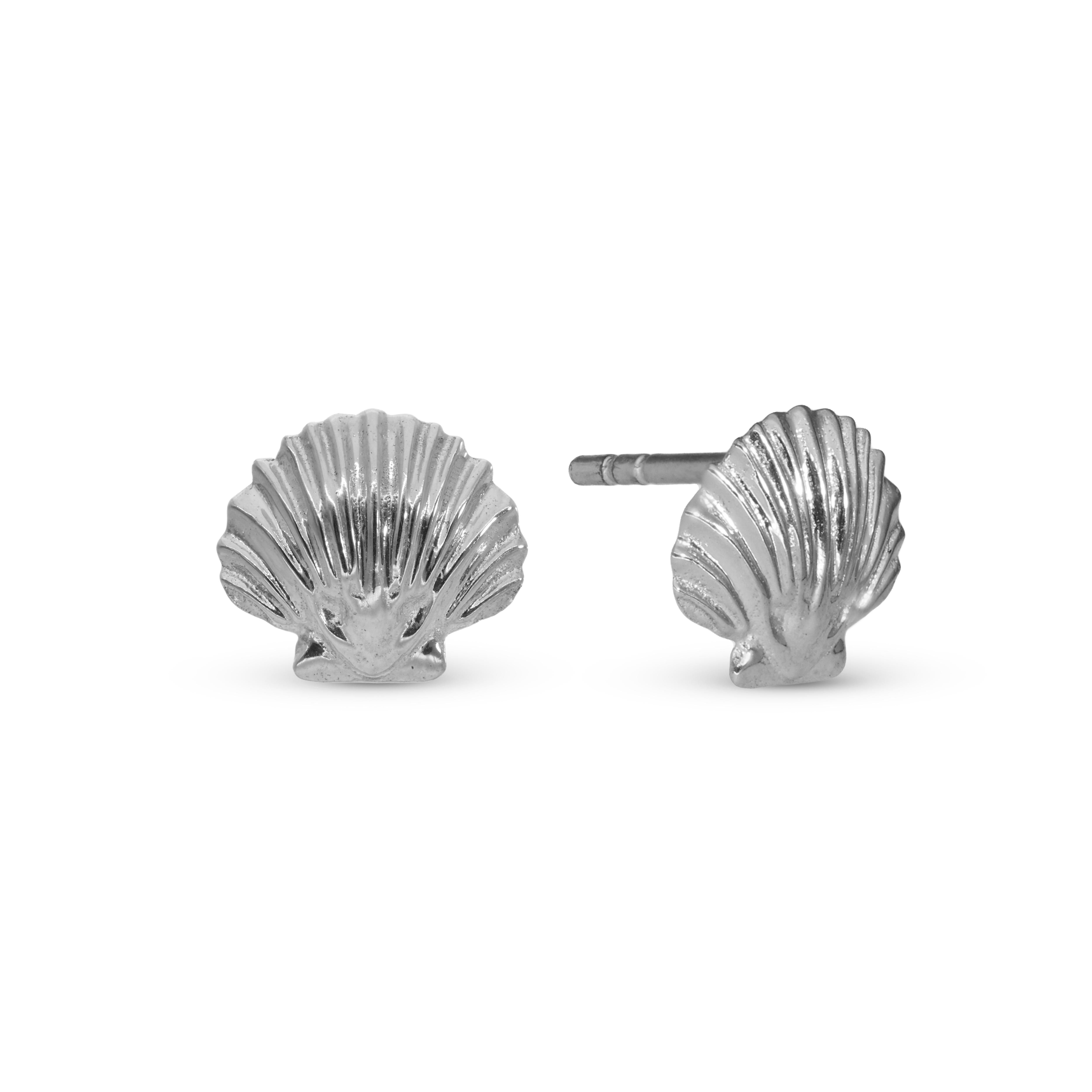 Clam Shell Stud Earrings - Polished Sterling Silver
