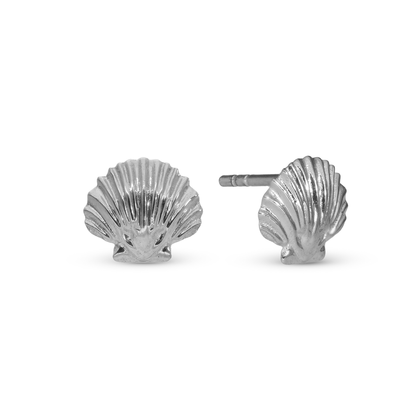 Clam Shell Stud Earrings - Polished Sterling Silver