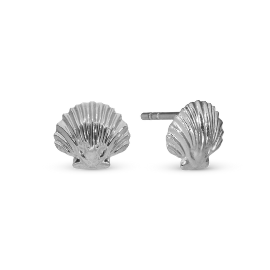 Clam Shell Stud Earrings - Polished Sterling Silver