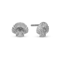 Clam Shell Stud Earrings - Polished Sterling Silver
