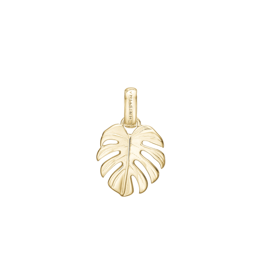 Rainforest Earring Pendant - Polished Gold Plated Sterling Silver