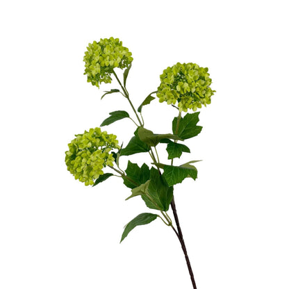 Flowers Hydrangeas SnowballsSmall  Home Furnishings