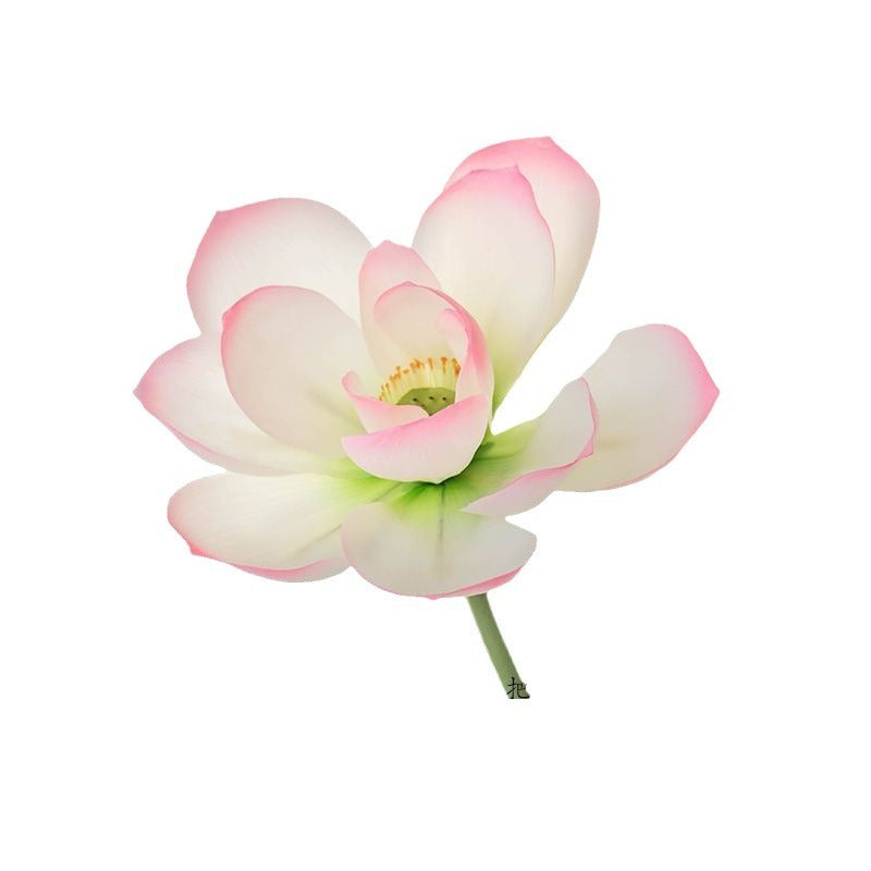 Fake Simulation Of Lotus Flowers Lotus Lotus Pods