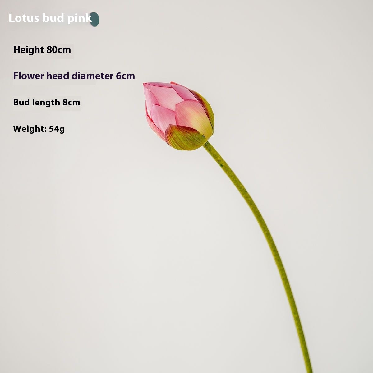 Fake Simulation Of Lotus Flowers Lotus Lotus Pods