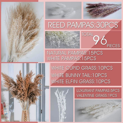 PAMPAS Bohemian Decorative Reed Rabbit Tail Grass Mix And Match Dried Flowers Bouquet