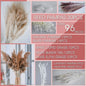 PAMPAS Bohemian Decorative Reed Rabbit Tail Grass Mix And Match Dried Flowers Bouquet