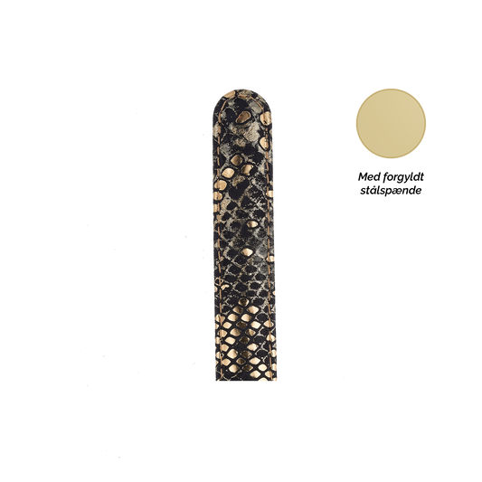 Collect  Leather Strap Watchremme - CHRISTINA