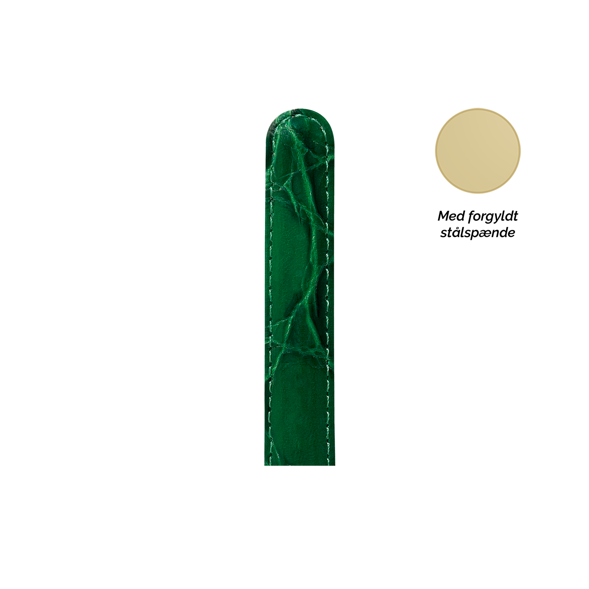 Collect  Leather Strap Watchremme - CHRISTINA