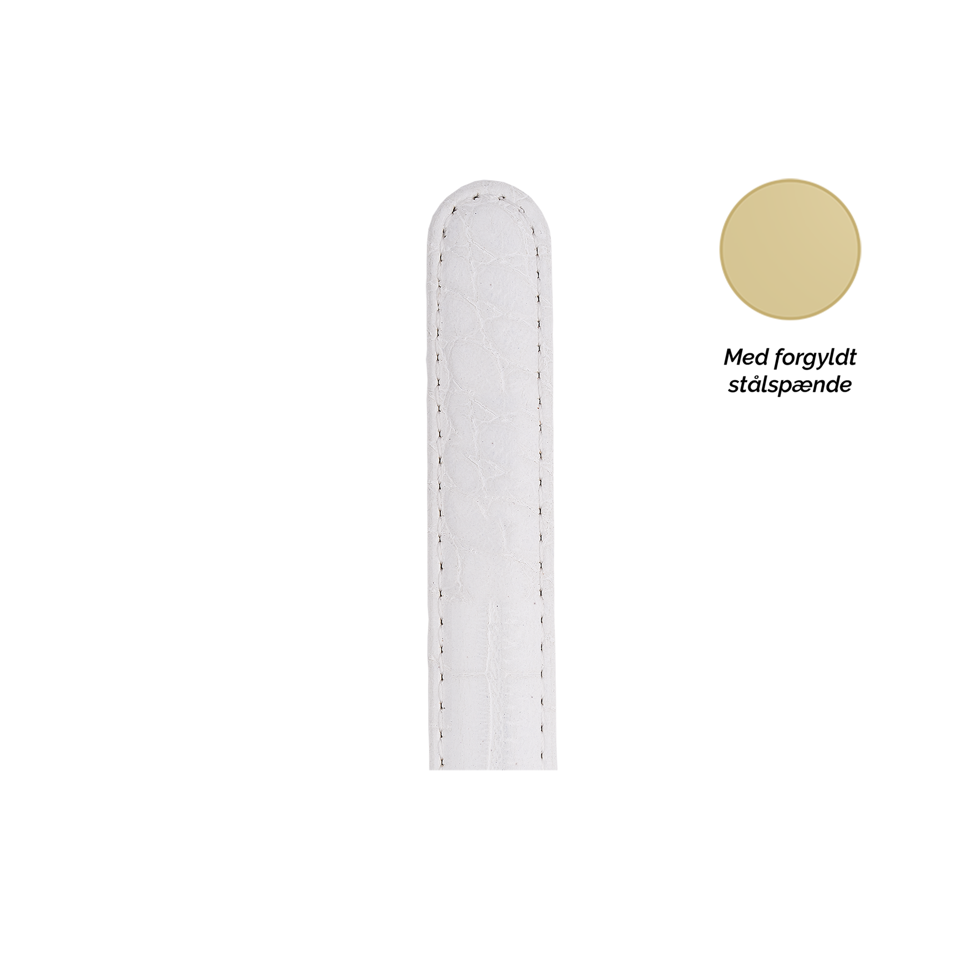 Collect  Leather Strap Watchremme - CHRISTINA