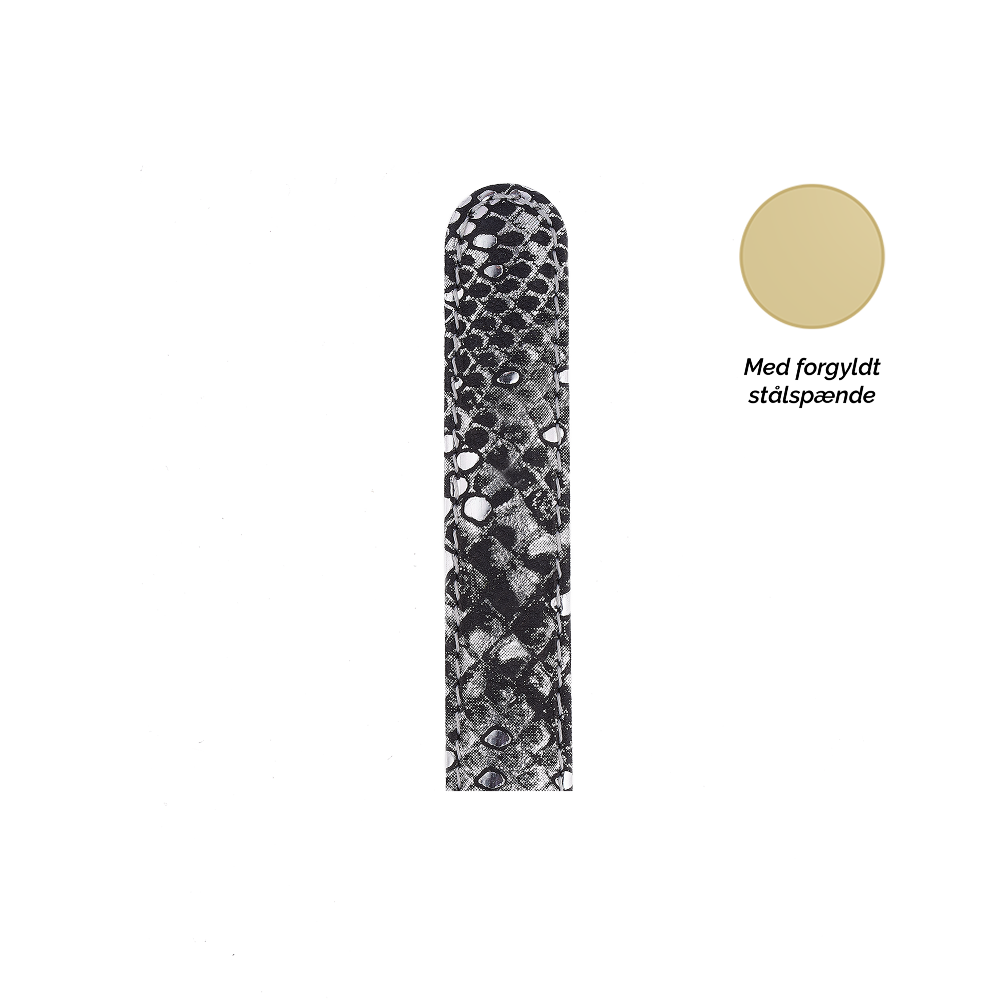 Collect  Leather Strap Watchremme - CHRISTINA