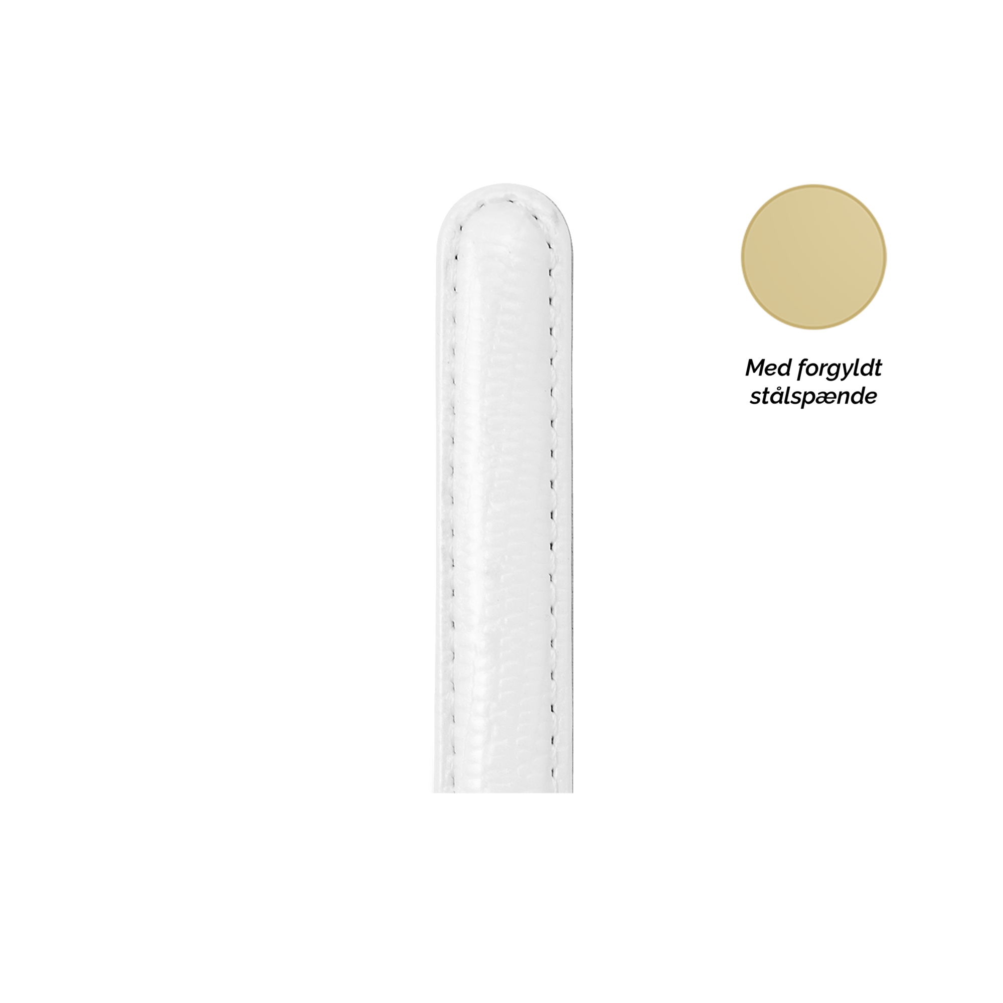 Collect  Leather Strap Watchremme - CHRISTINA