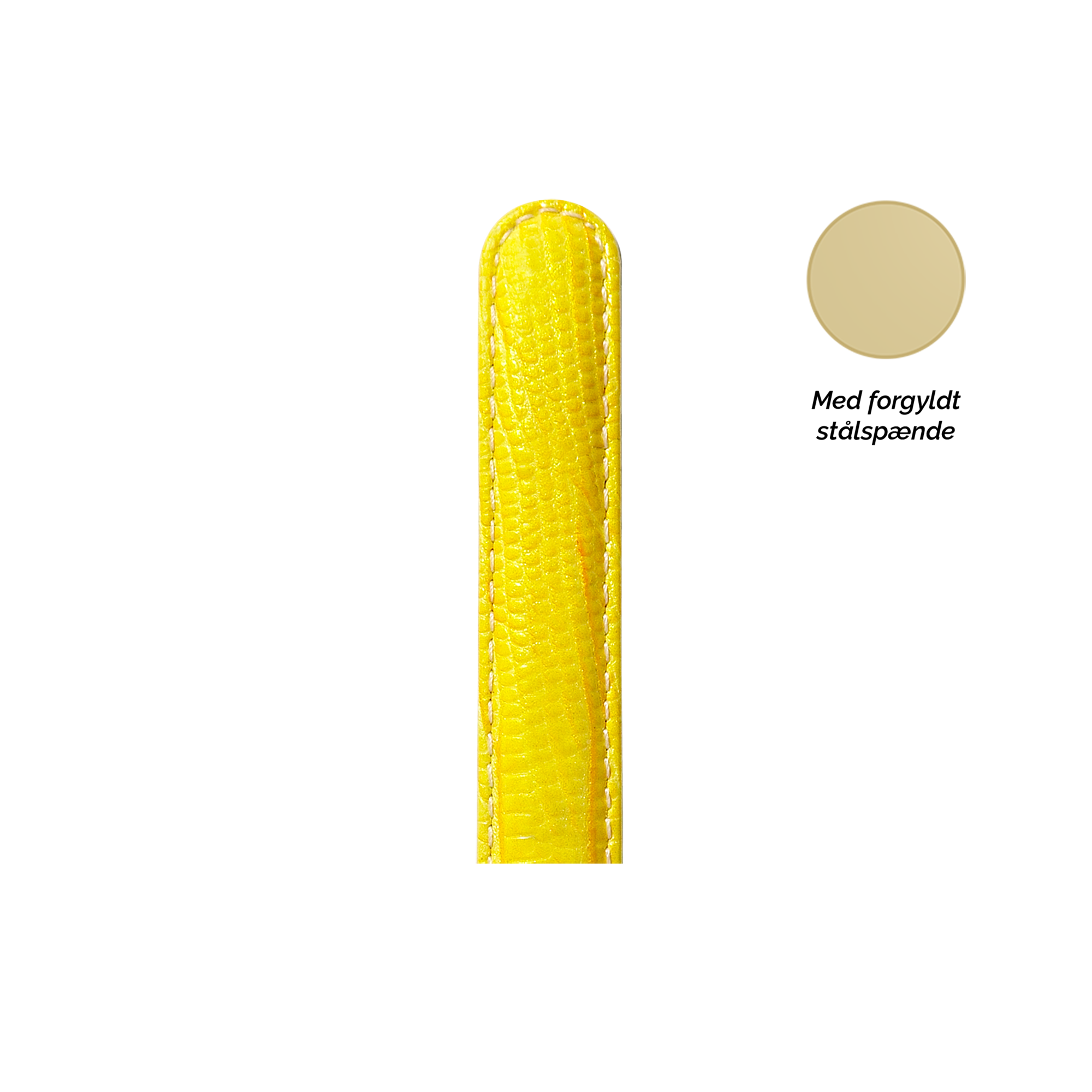 Collect  Leather Strap Watchremme - CHRISTINA