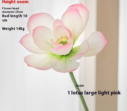 Fake Simulation Of Lotus Flowers Lotus Lotus Pods