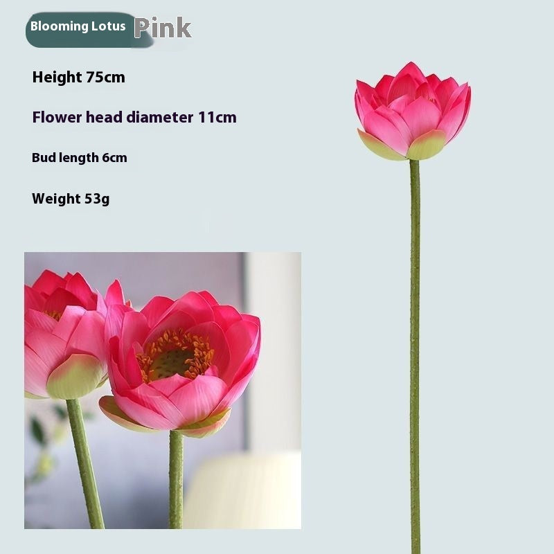 Fake Simulation Of Lotus Flowers Lotus Lotus Pods