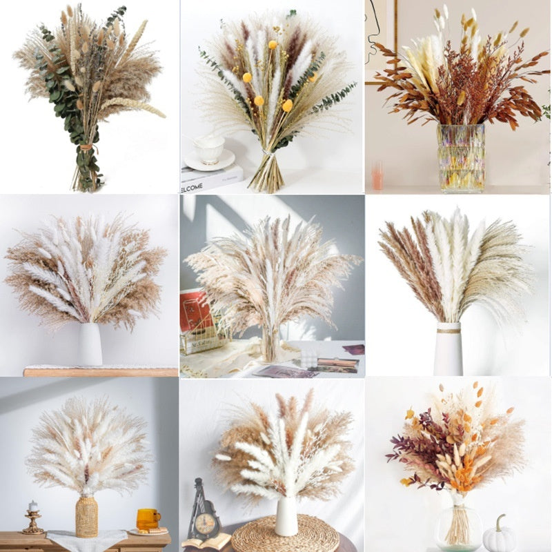 PAMPAS Bohemian Decorative Reed Rabbit Tail Grass Mix And Match Dried Flowers Bouquet